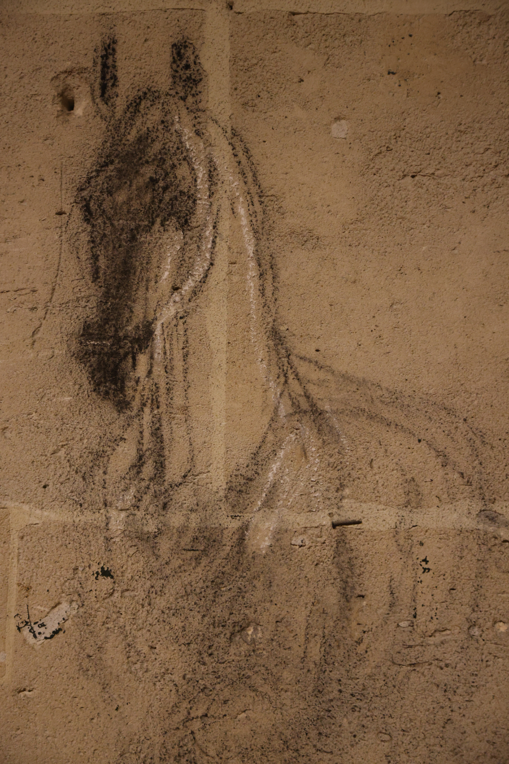 academie equestre versailles