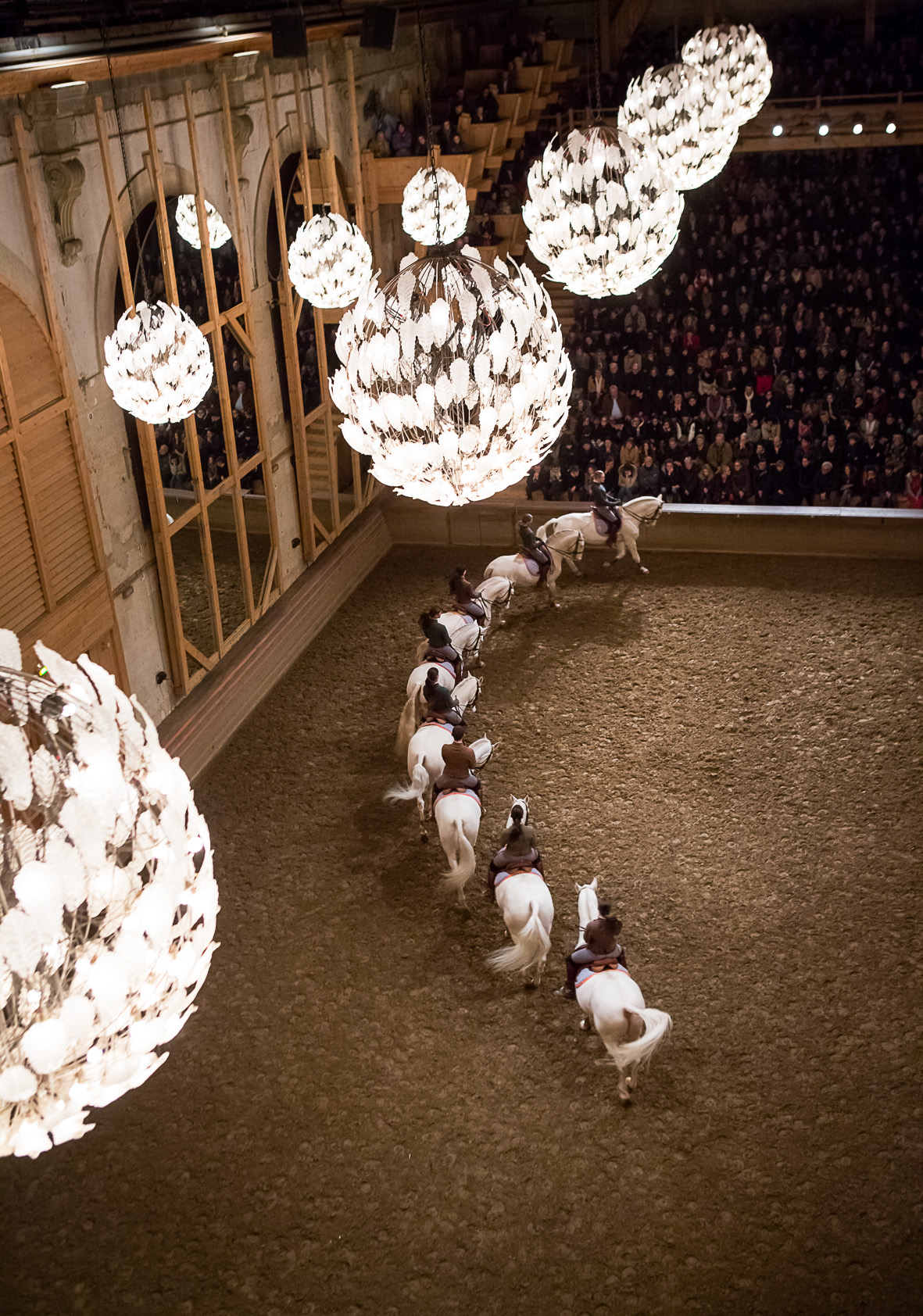 carrousel des lusitaniens a. poupeney (1)