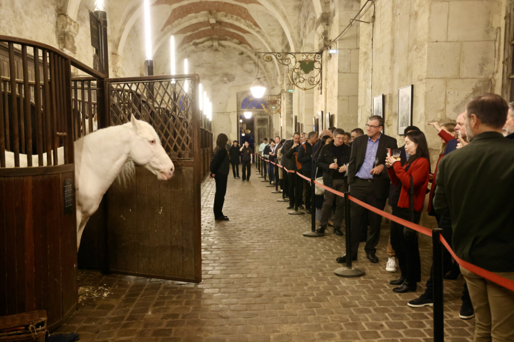 academie equestre versailles