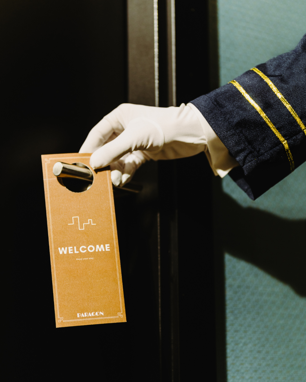 prestation academie equestre versailles