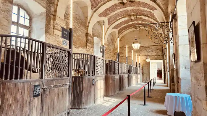 academie equestre versailles