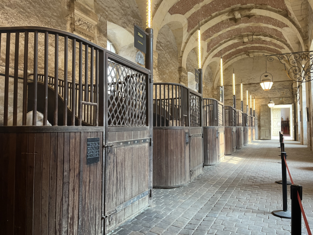 academie equestre versailles